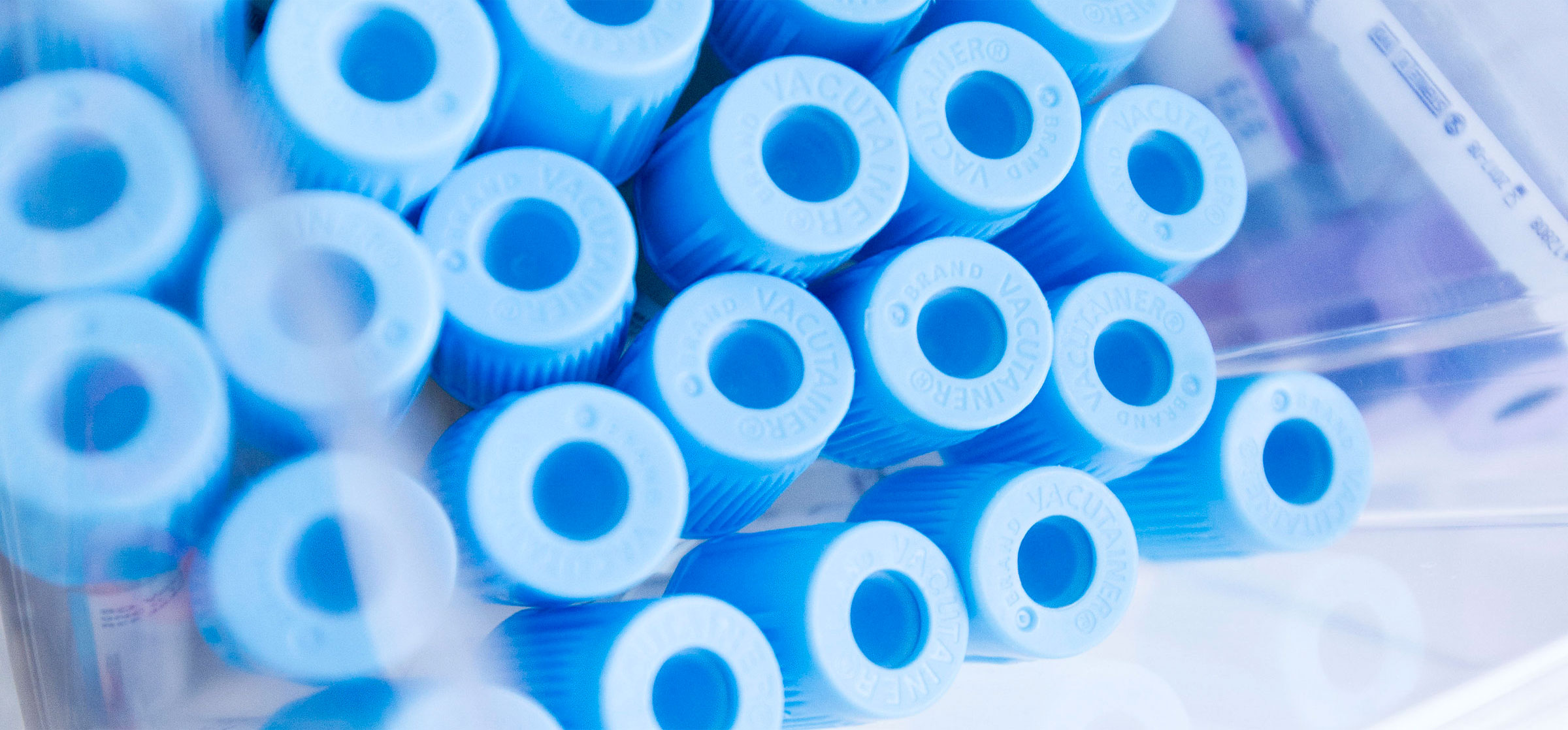 banner-img