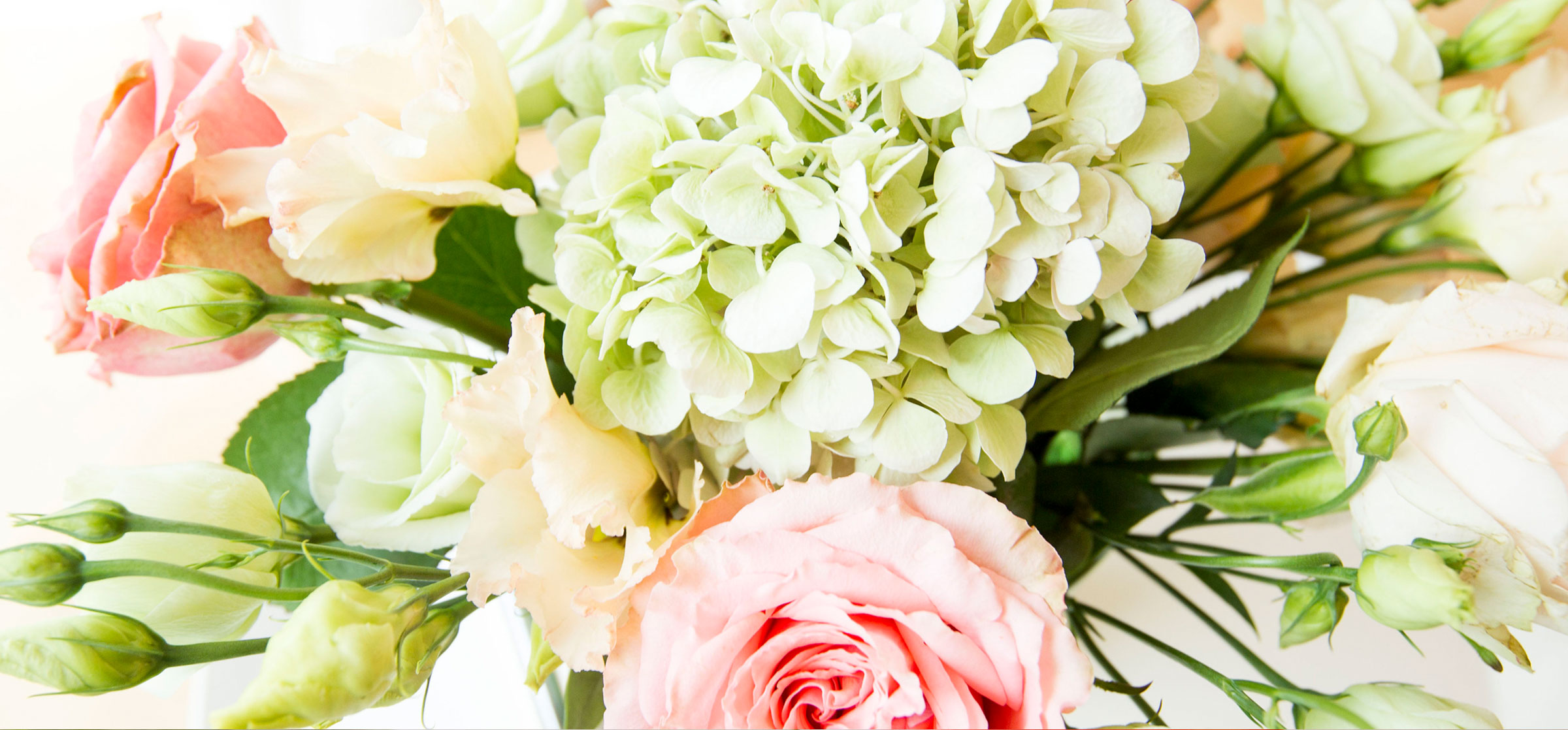 banner-img
